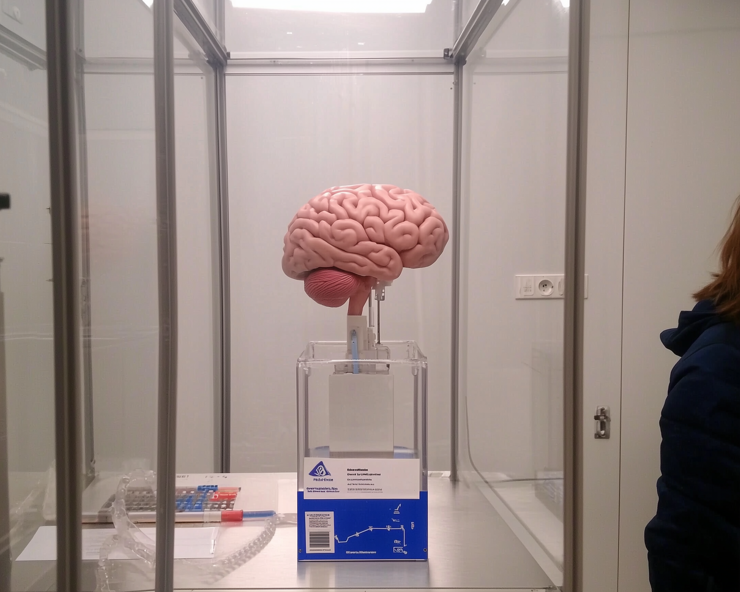 Back of a man at a concert. Hes wearing a beanie hat and a baggy denim jacket with studs. Photo with a purple hue